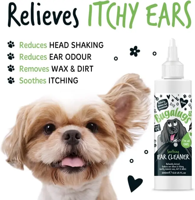 toxic free pet products